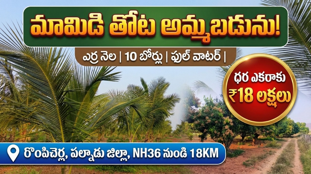 మామిడి తోట అమ్మబడును | Rompicherla Farm Land for Sale|EstateGuruAman