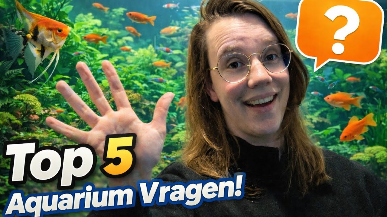 5 AQUARIUMVRAGEN: Visbestanden, bodems, planten + visvoeding //Nickey//