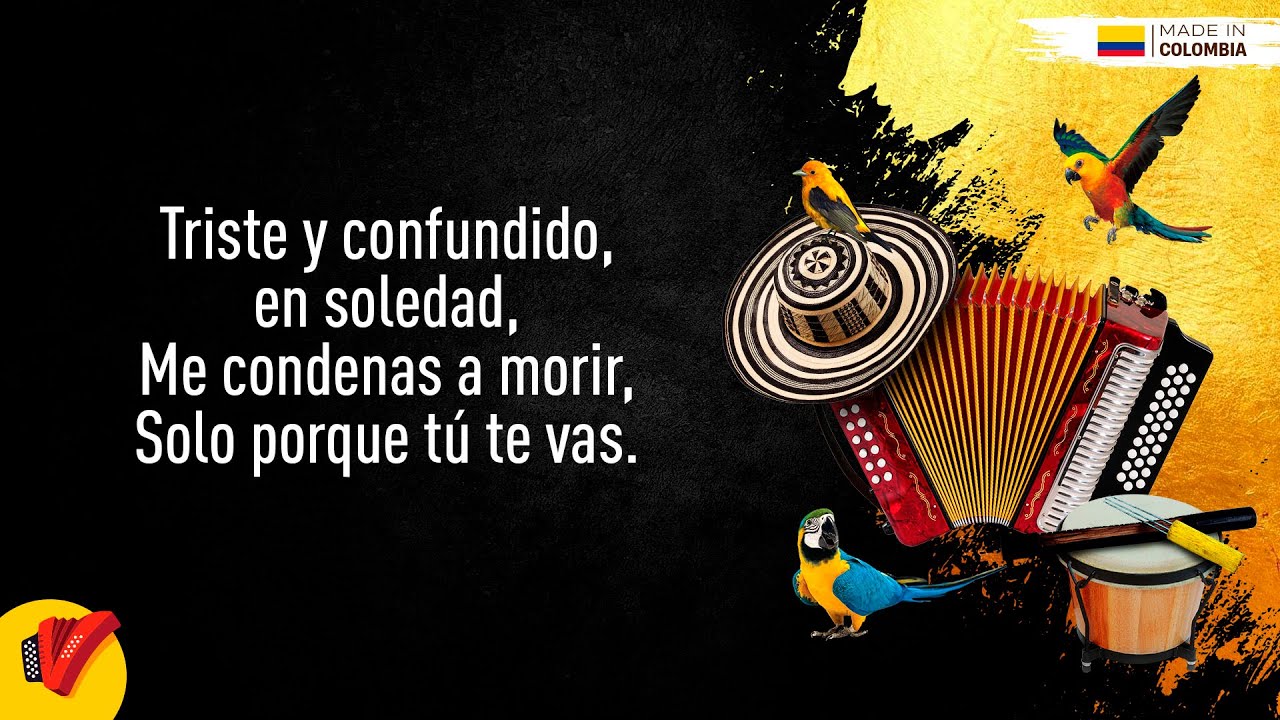Te Llevas Todo, Binomio De Oro De Am&eacute;rica, Video Letra - Sentir Vallenato