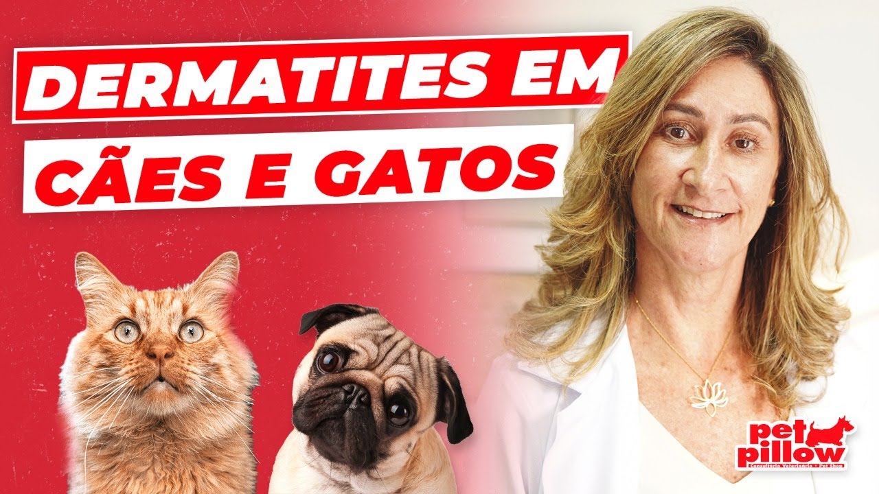 Dermatite em cachorros e gatos: o que causa esse quadro e como tratar? | Dra. Michele Sandrault