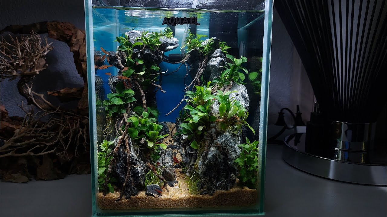 Nano Akvárium 10l - založení 10l akvária - můj první Aquascaping