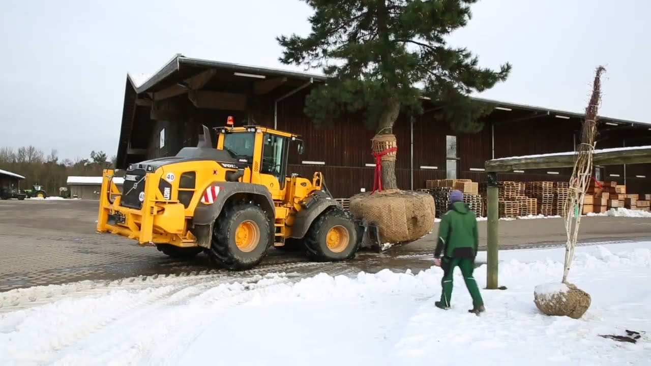 Baumschule durchs Jahr - Blick hinter die Kulissen - Baumschule Lorenz von Ehren