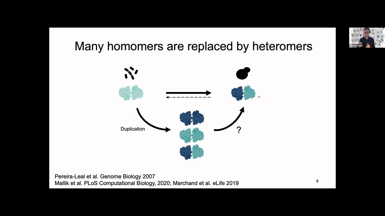 Evolution of gene duplication: from redundancy to dependency by Christian Landry - ISCBacademy