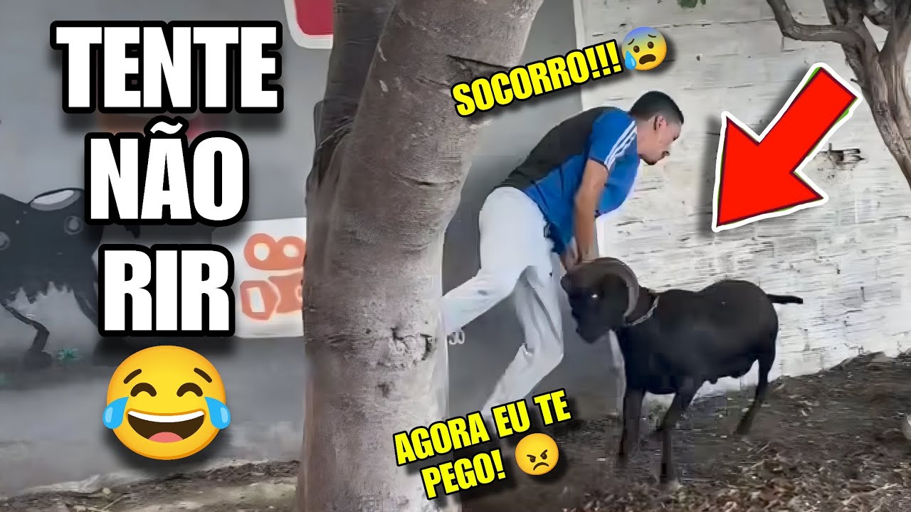 TENTE NÃO RIR: OS MELHORES MEMES DA INTERNET #tentenaorir #videosengracados #memes #comedia #humor