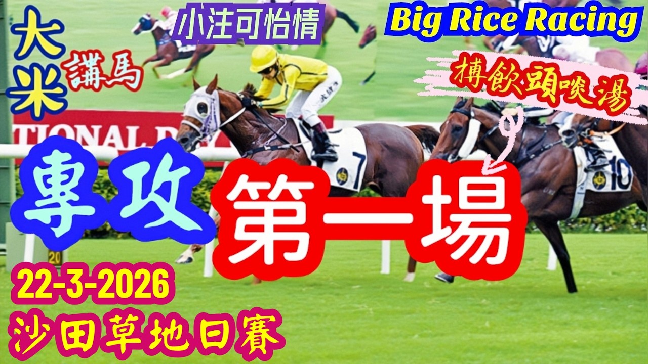 香港賽馬 專攻第一場 22-3-2026 沙田草地日賽 (全場分析拆局，是次策略 : 馬胆 一拖二)