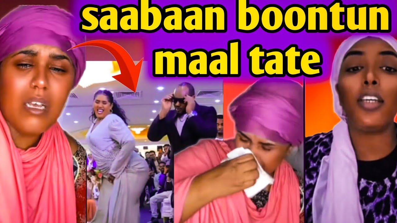 saabaan boontuun maal tatee kunii gudimaa