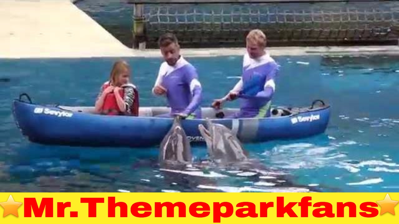 Boudewijn seapark 2015 - Aqua splash & Dolfijnenshow.  :)