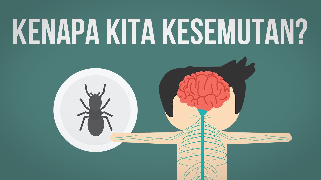 Kenapa Kita Mengalami Kesemutan?