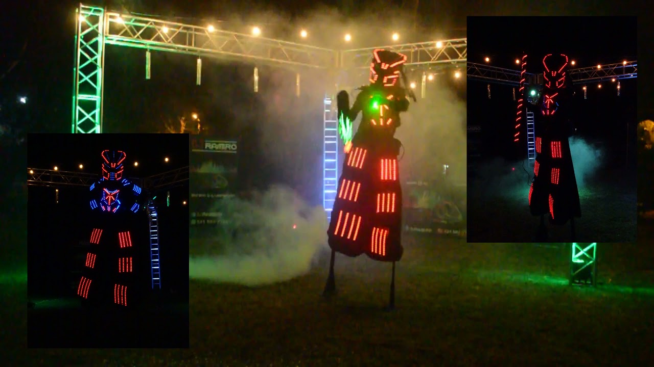 PRESENTACION ROBOT LED (Depredador)