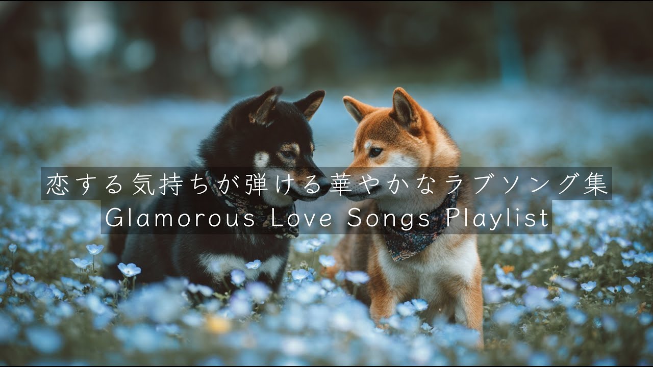 [洋楽Playlist] 恋する気持ちが弾ける華やかなラブソング集 | Glamorous Love Songs Playlist