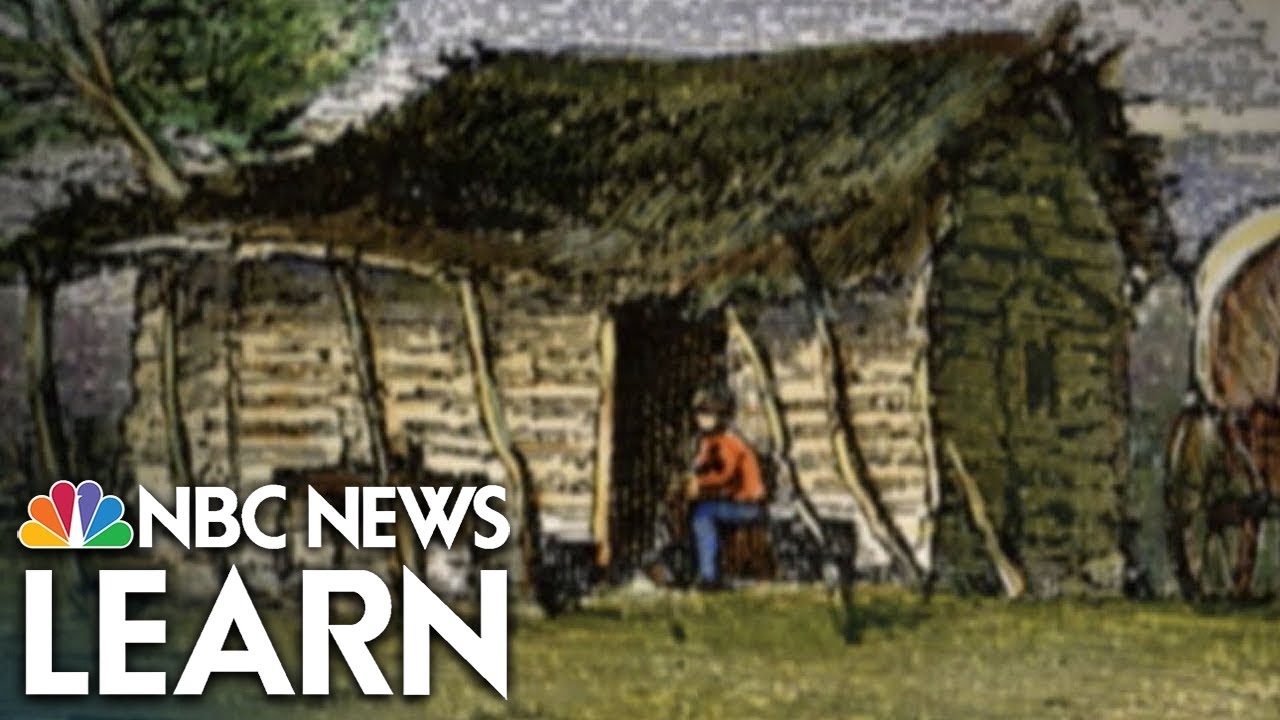 Rich and Poor Whites in the Pre-Civil War South