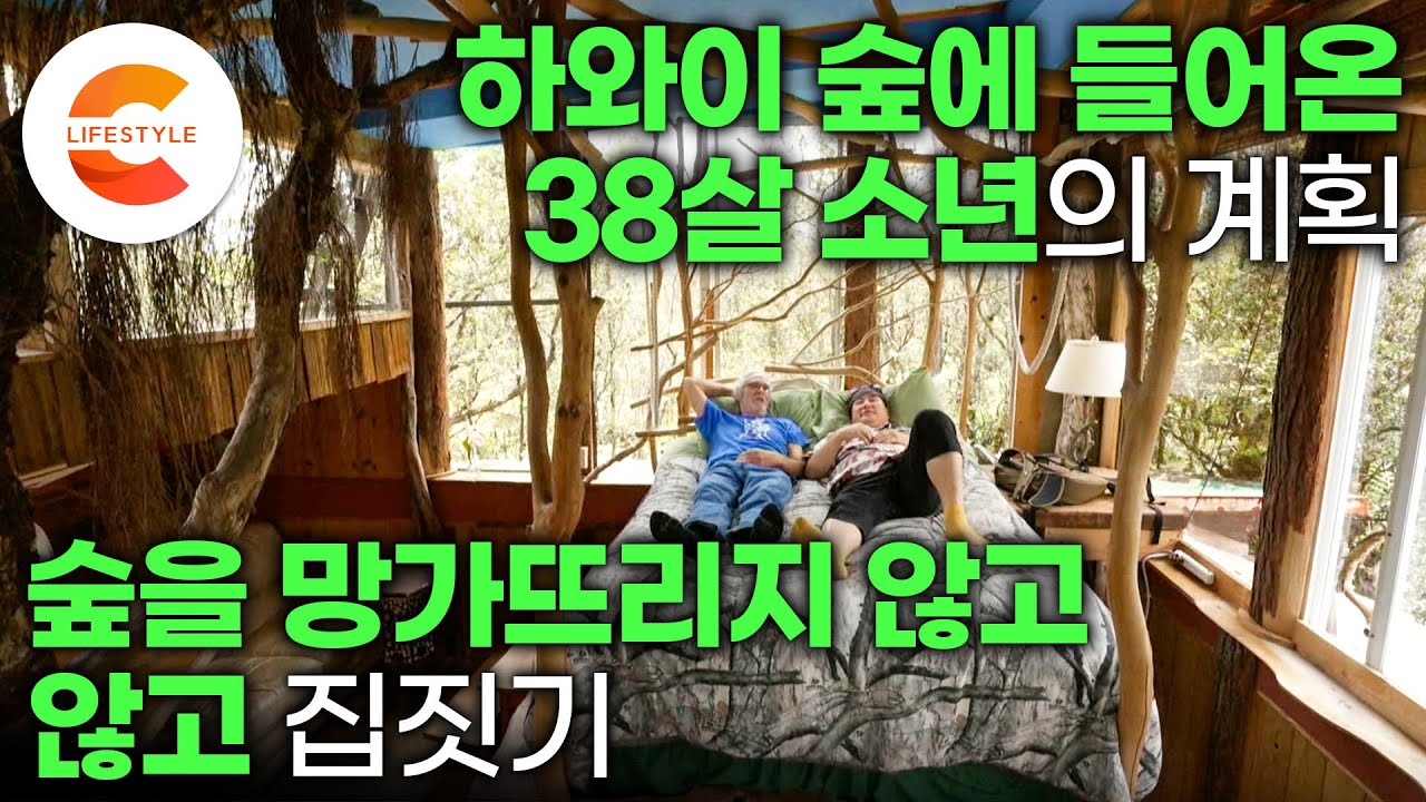 집주인이 알려준 사람만 알 만큼 꼭꼭 숨어있다🏡 38살 소년이 노인이 될 때까지 지은 하와이 숲속에 완벽히 동화된 나무집의 정체ㅣ집짓기ㅣ#숲이그린집