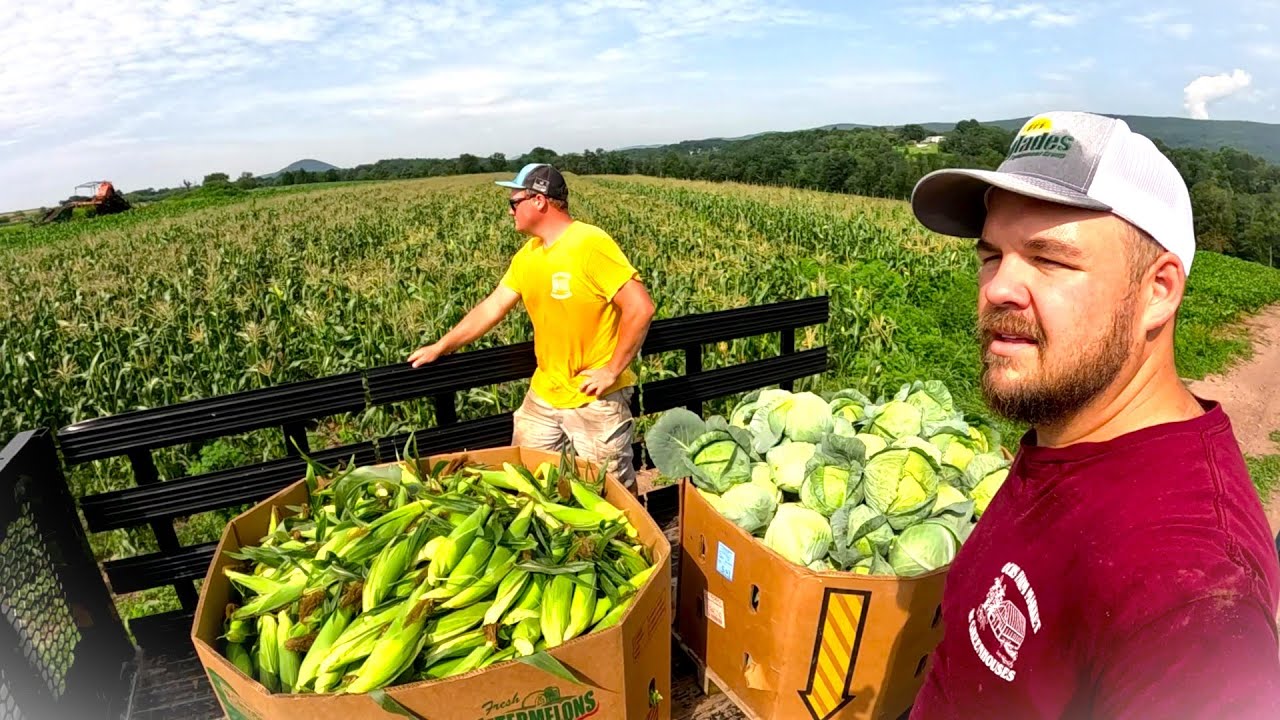 A Huge harvest with new Family