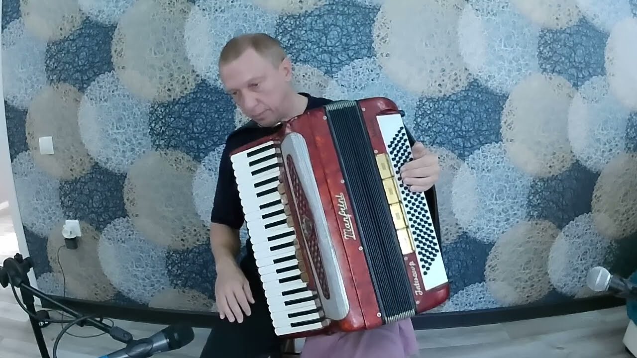V Dmitriev The old Whirligig  Дмитриев Старая карусель