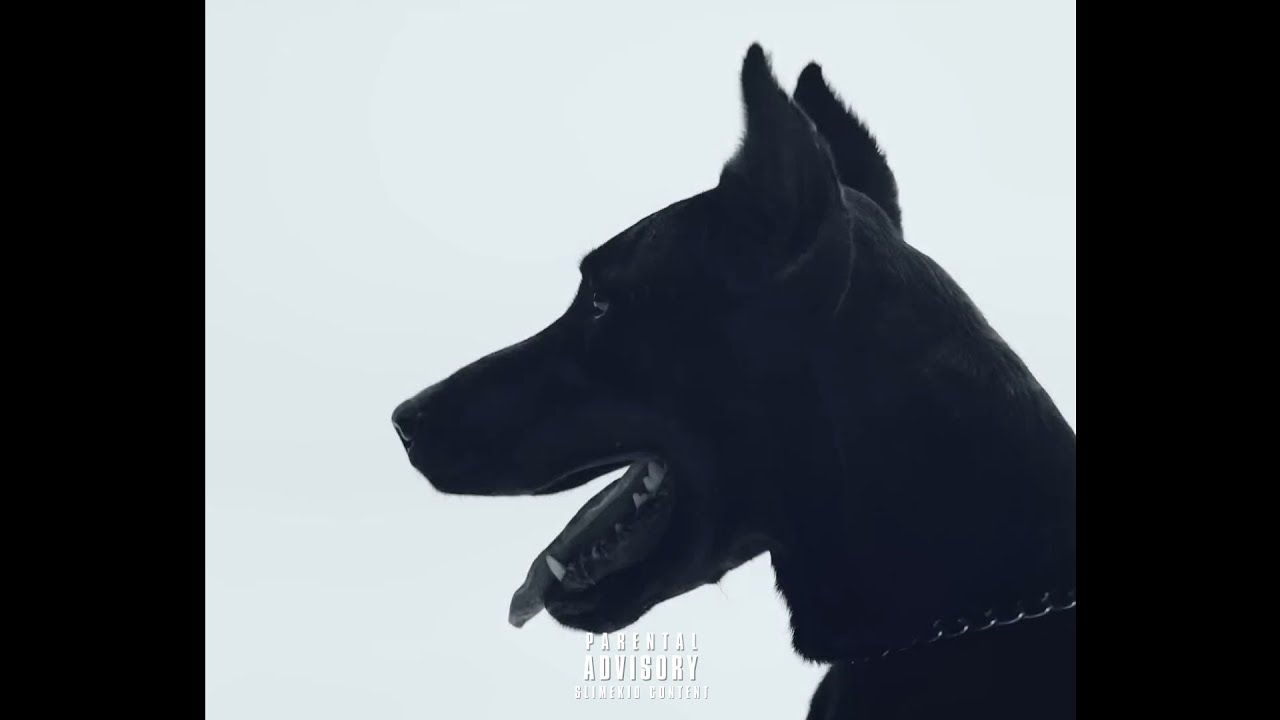 [FREE] Future x Lil Gotit x Wheezy Type Beat 2025 - 