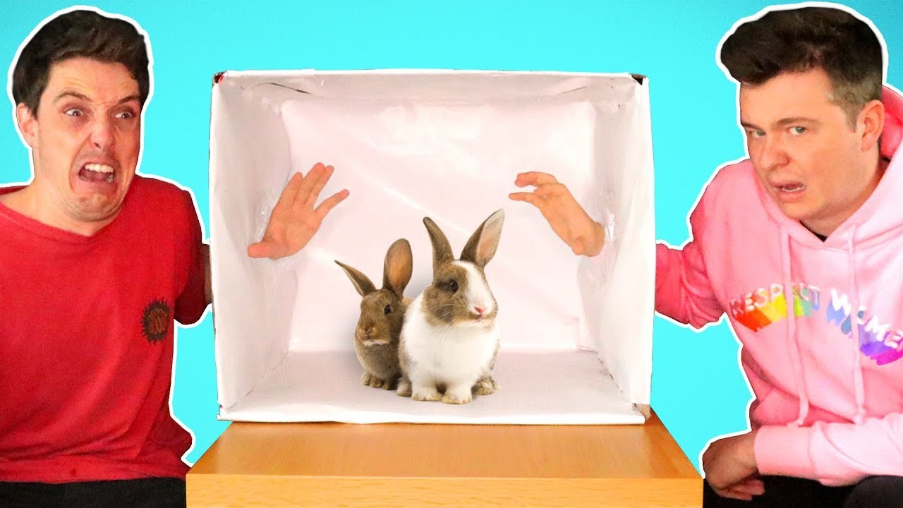 ЧТО В КОРОБКЕ!? При участии Lazarbeam, Muselk, Loserfruit, Crayator, BazzaGazza и Marcus