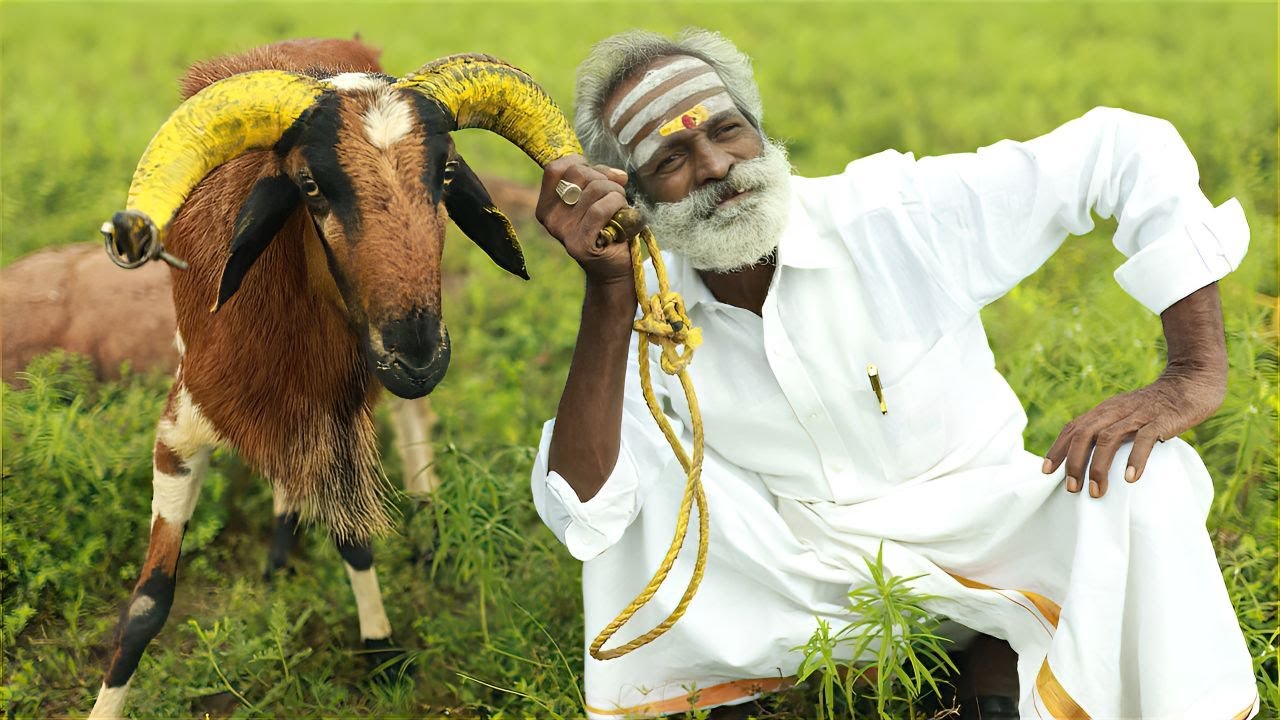Kaayalpatnam Mutton Biryani By Daddy Arumugam | New Year Special | Village food factory
