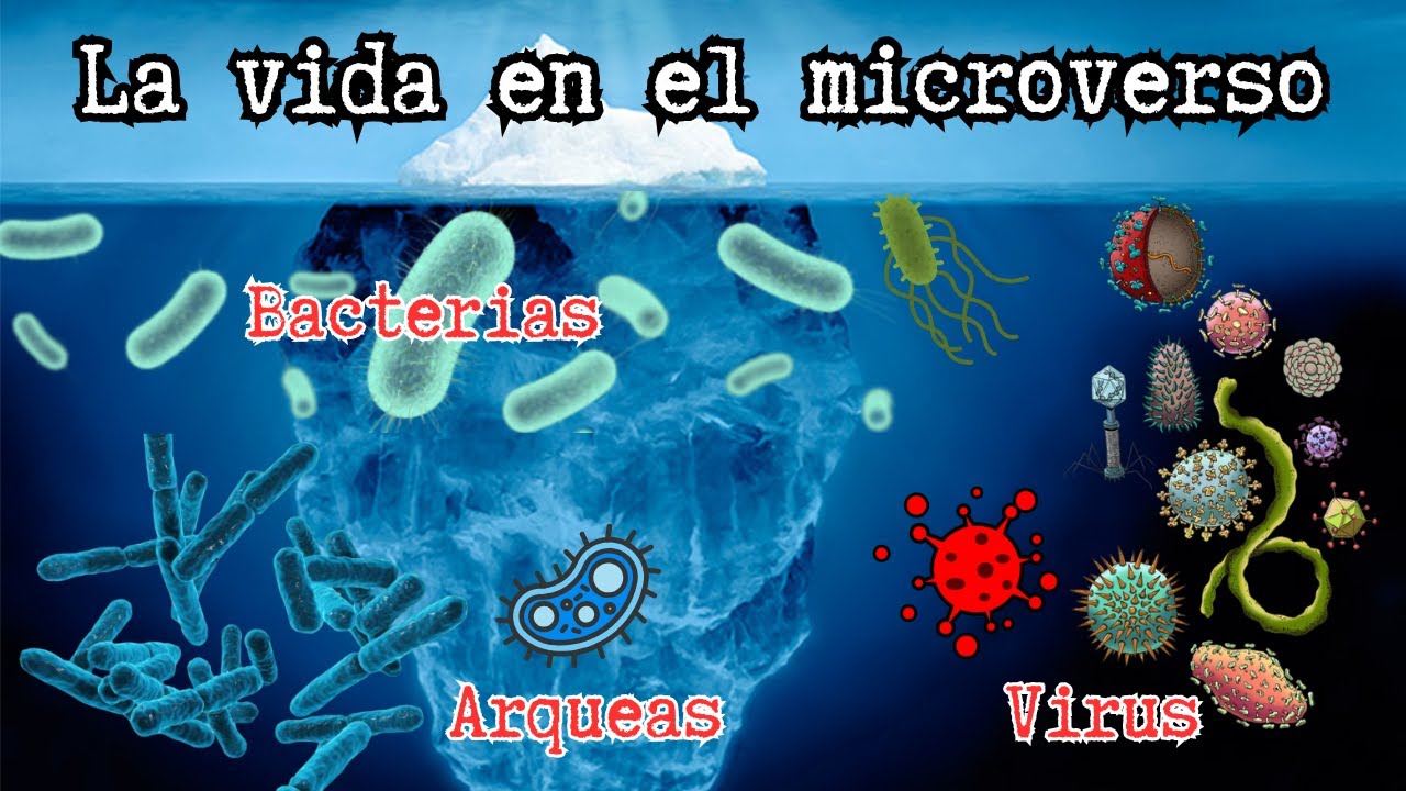 🔬ICEBERG DEL MUNDO MICROSCÓPICO: Bacterias🧫Arqueas🦠Virus🧬