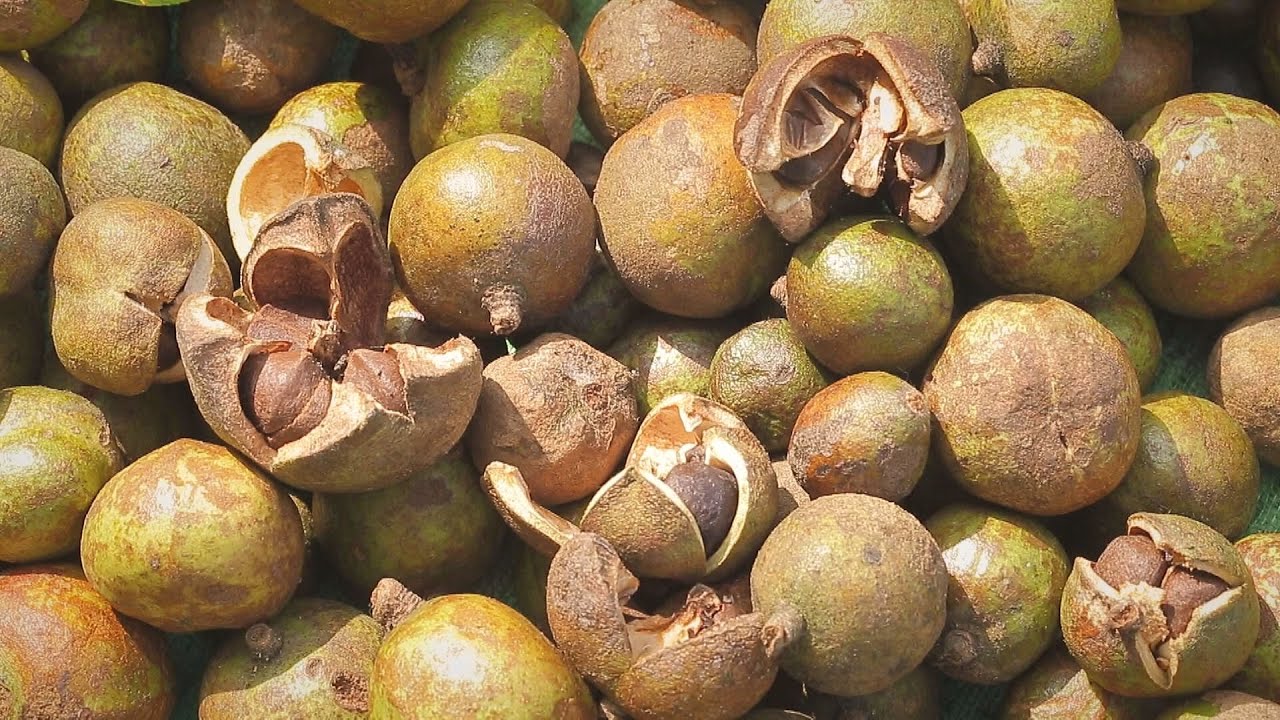 苦茶油-台灣美食 │Camellia Oil -Taiwanese Food