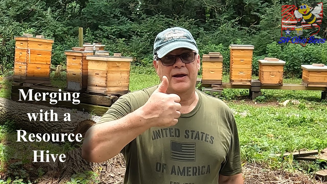 Merge with a Resource Hive
