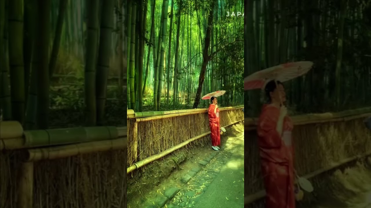 🌸 Wandering through Japan&rsquo;s timeless beauty 🇯🇵✨ #JapanVibes #travelshorts #malayali  #happiness