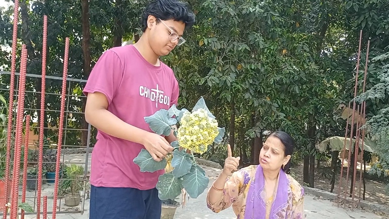 কৃষাণ কৃষাণি হাসি মুখে সব্জি তুলছে।