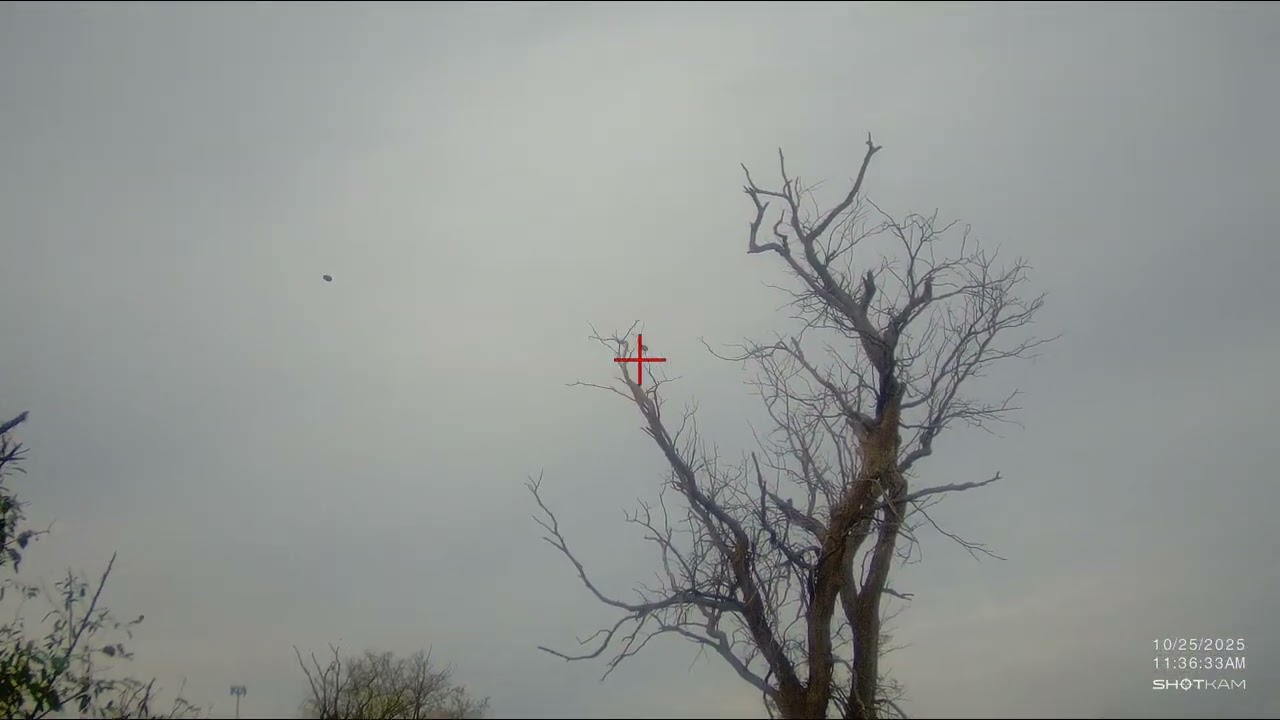 fall trip to blackwing