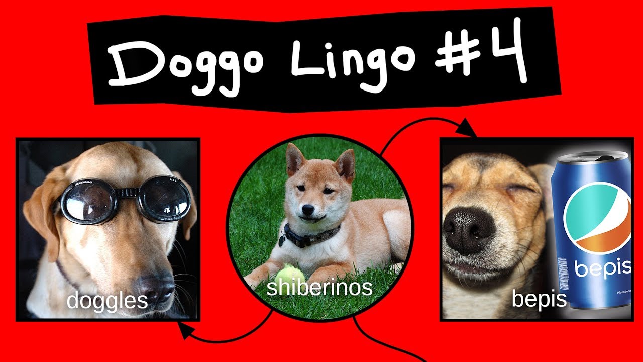 Doggo Chart - Part 4