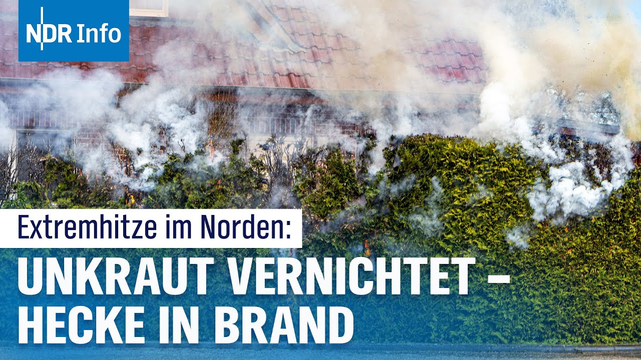 Hitzewelle im Norden: B&ouml;schungsbr&auml;nde, Stra&szlig;ensch&auml;den und Rekordtemperaturen | NDR Info
