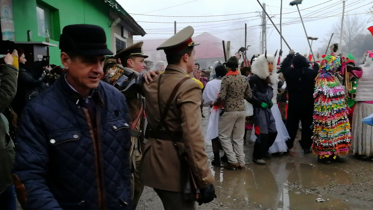 Capra Bogdănești, Bacău 2019