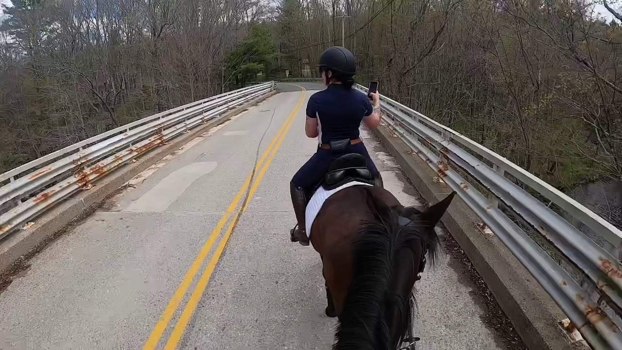 FAST TRAIL RIDE | GoPro | JMG Equestrian