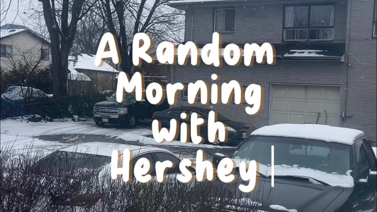 First lengthy mini vlog with the “og furbaby”, Hershey 🐶😂