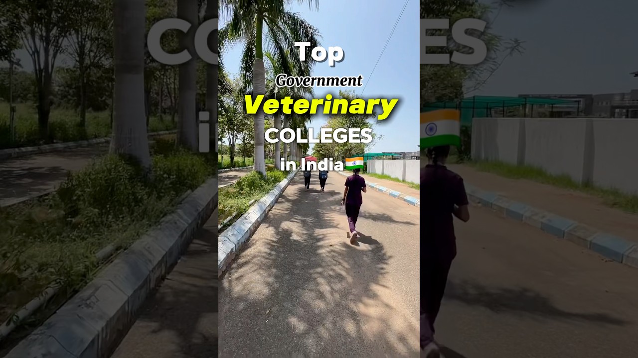 Top Government Veterinary Colleges in India to purse BVSC &AH #neet #vet #veterinary #viral #bvsc