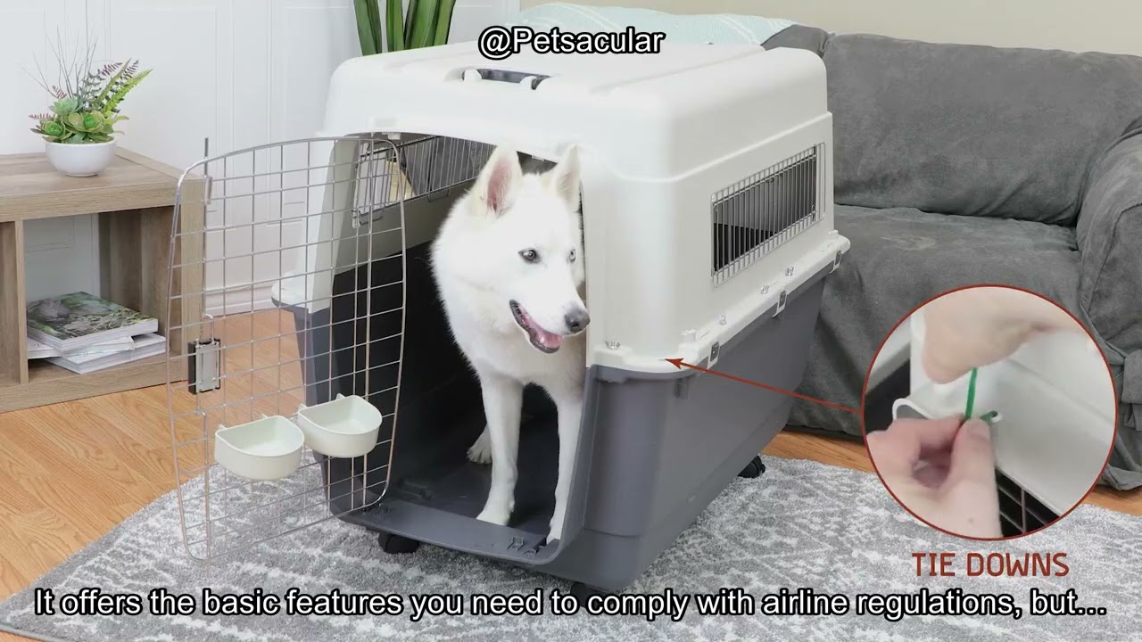 SportPet Designs Plastic Kennels Review: Is This Airline-Approved Dog Crate Worth It?