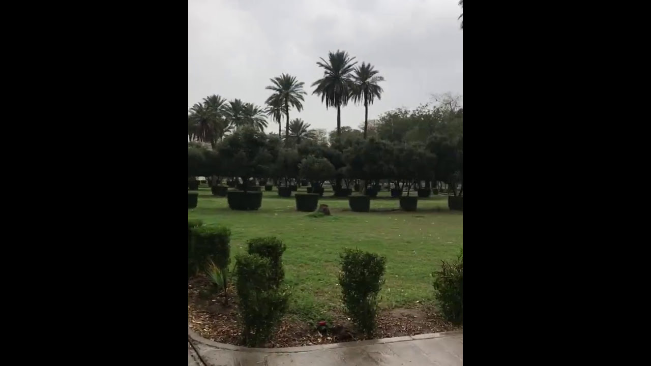 جامعة بغداد واجواء المطر