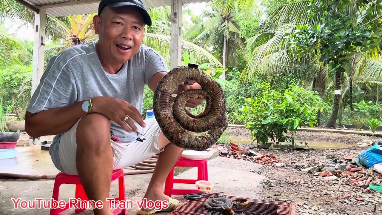 Về quê nuôi gà vịt và nướng rắn rai lai cùng anh em 