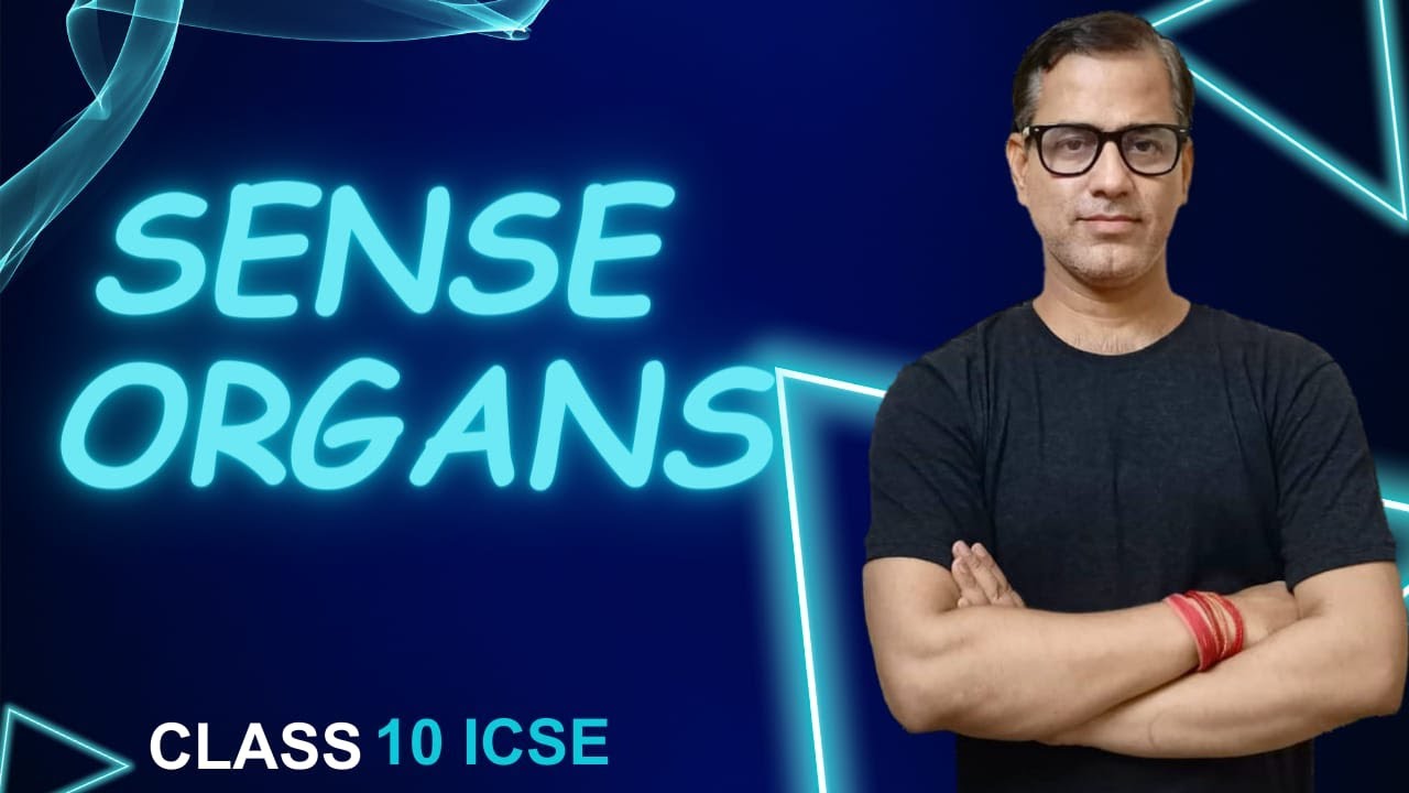 Sense Organs ICSE Class 10 | Sense Organs One Shot | Human Anatomy and Physiology | 