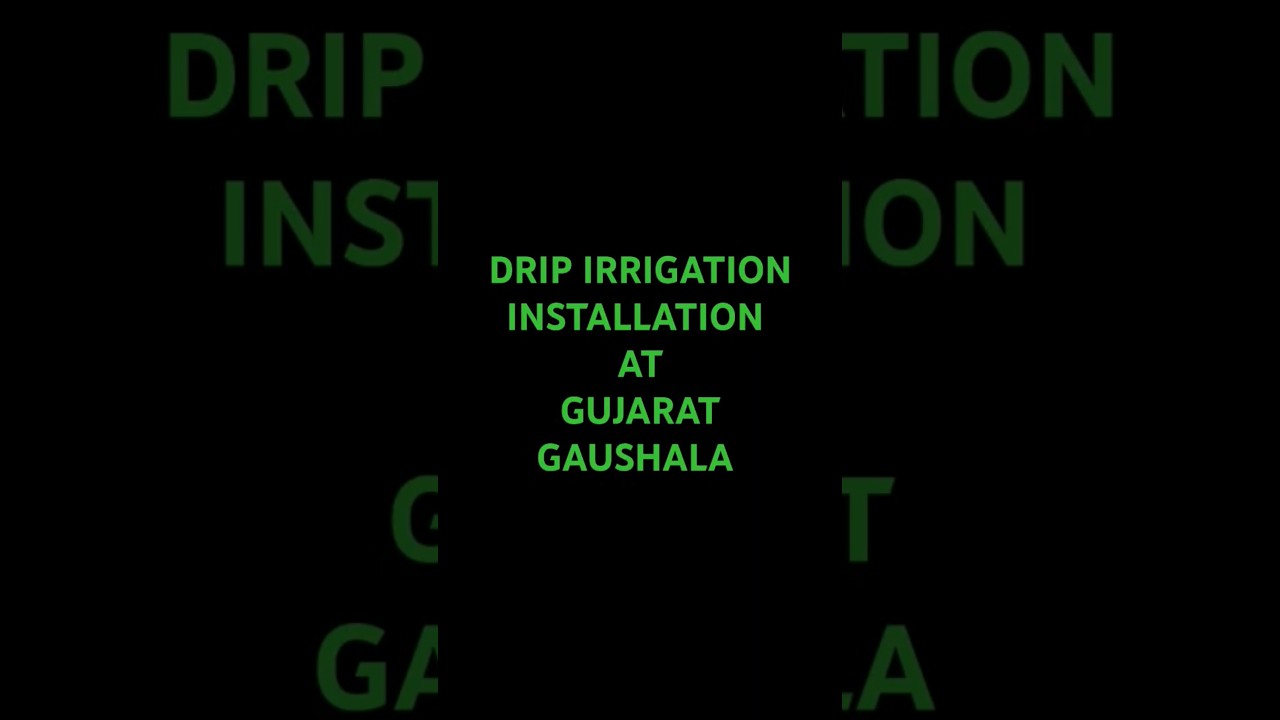 DRIP IRRIGATION INSTALLATION AT GUJARAT GAUSHALA, KADI BY B. VOC. AGRICULTURE STUDENTS