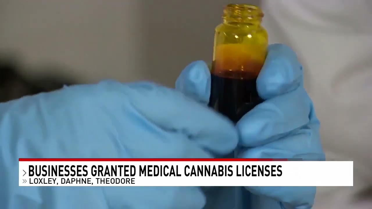 Alabama medical cannabis business license recipients announced - NBC 15 WPMI