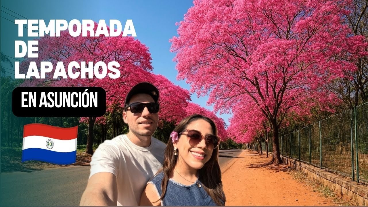 Temporada de Lapachos en Asuncion