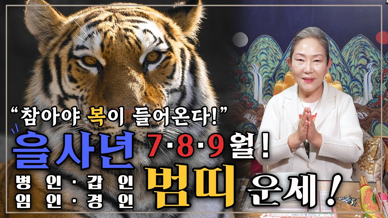 ✨2025년 을사년 7·8·9월 호랑이띠 운세!✨ 