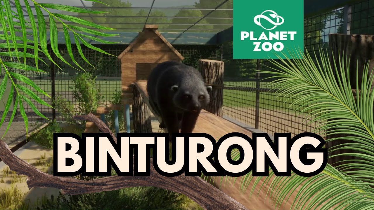 PLANET ZOO -  BINTURONG