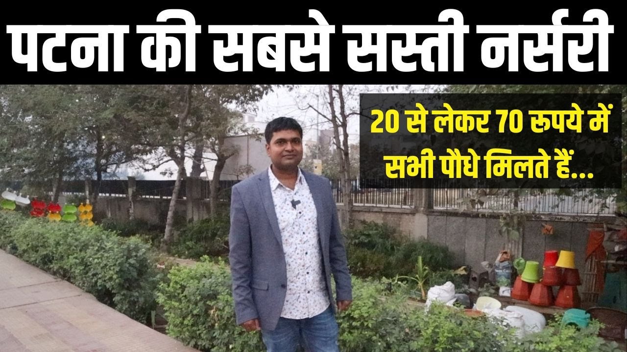 पटना अटल पथ पर सबसे सस्ती नर्सरी, इससे सस्ता शहर में नहीं है, देख लीजिए। Green Side