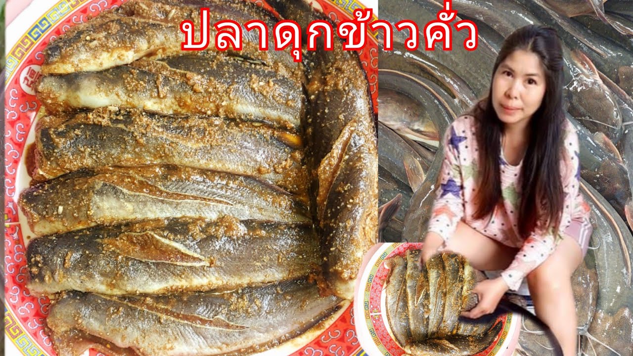 ทำปลาร้าข้าวคั่ว ปลาดุกอุย ทำง่ายๆ 16วันกินได้ ปิ้ง ทอด หมกใบตอง แซบหลาย