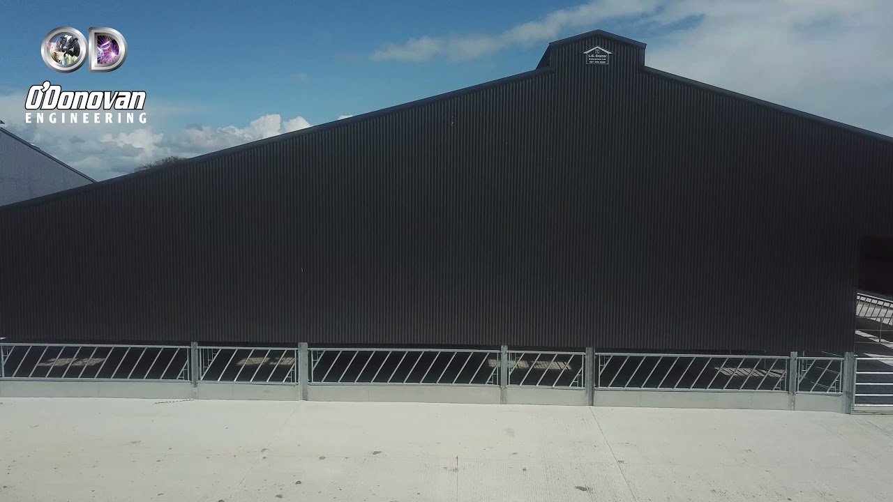 New 160 Unit Cubicle Shed With Feeding Space For 250 Cows