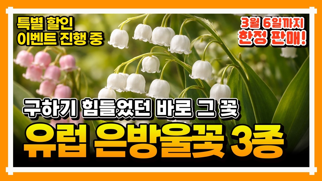 [사전예약 할인 이벤트] 긴급!!!!  핑크색 은방울꽃?!  🔥3월6일 까지만 판매!!!