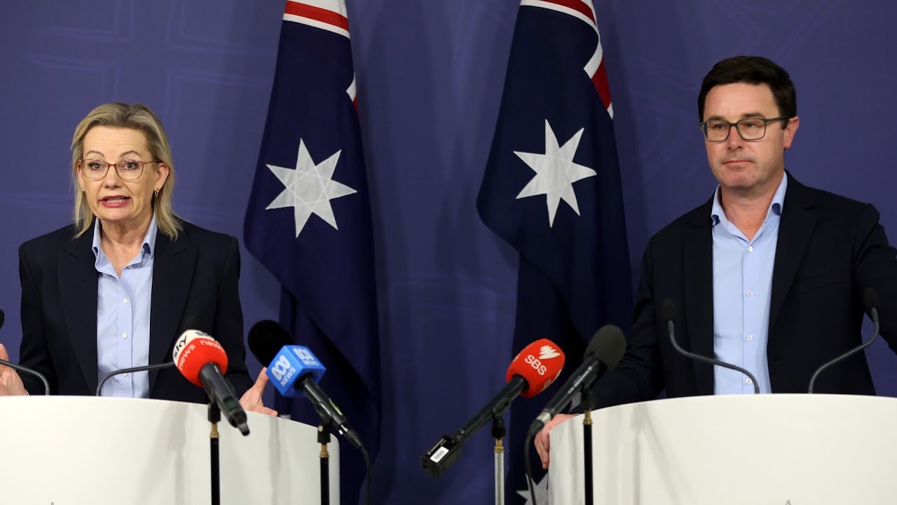 ‘Scared of their own shadow’: Migration policy divides the Coalition