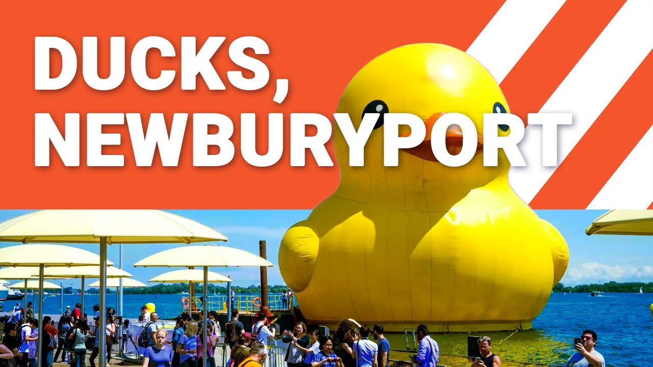 I finally get around to finishing Ducks, Newburyport by Lucy Ellmann