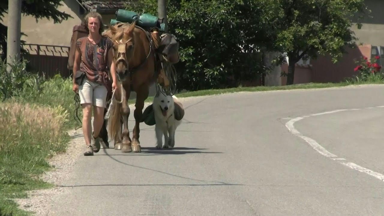 Zu Fuß durch Europa - mit Pferden und Hund | AFP