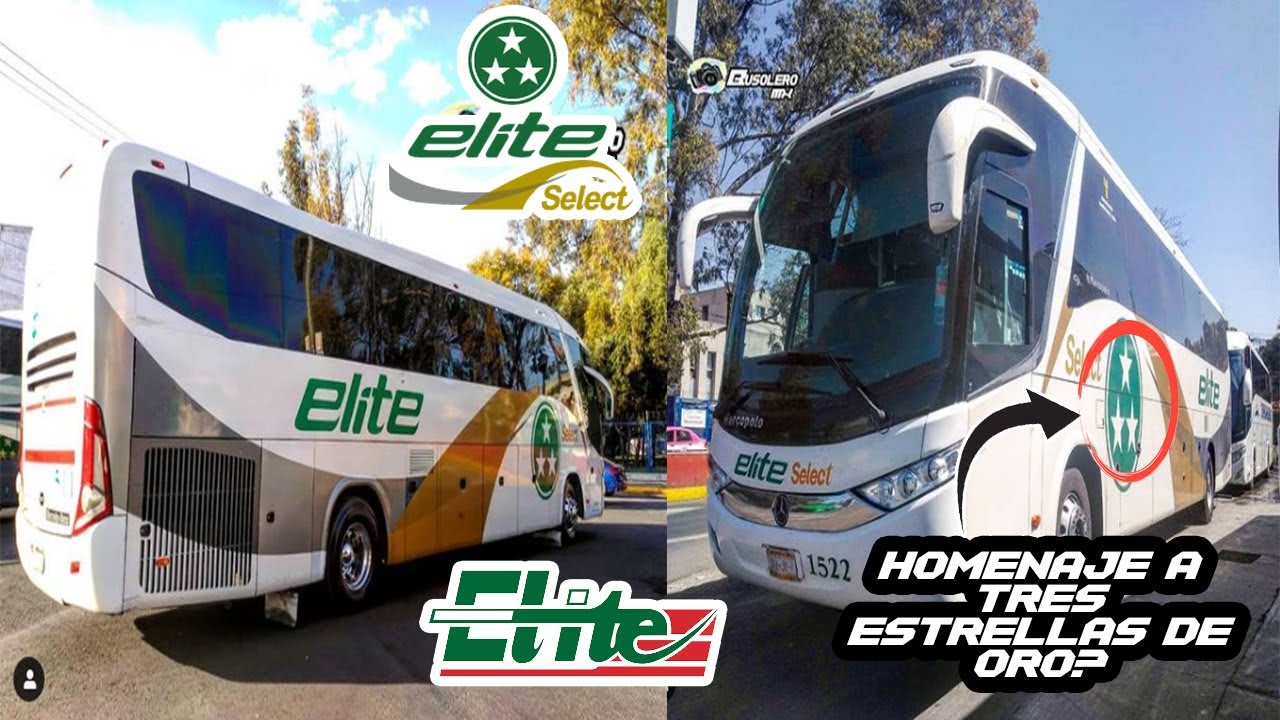 ¿ELITE LA ÚNICA LINEA DE AUTOBUSES  SOBREVIVIENTE DE TEO?  | BUSOLERO MX.